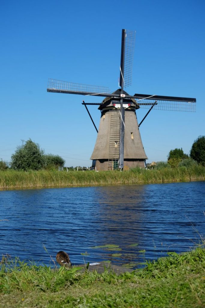 biking_in_kinderdijk_windmills001
